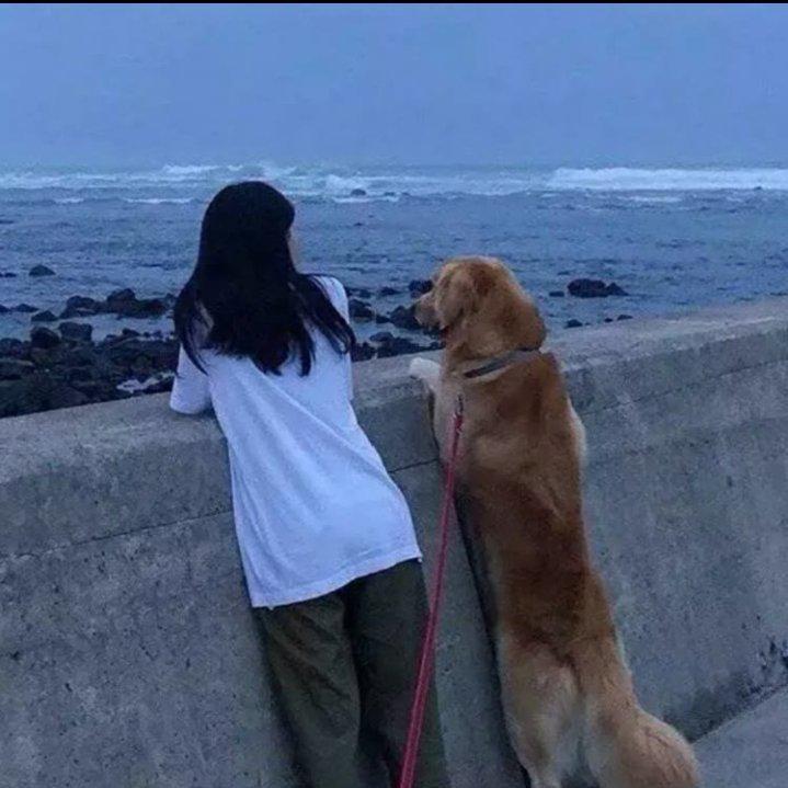 圈圈