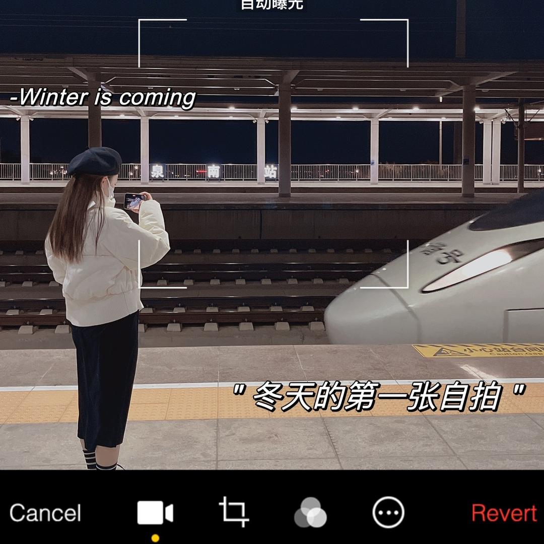 🌷仅你可见~