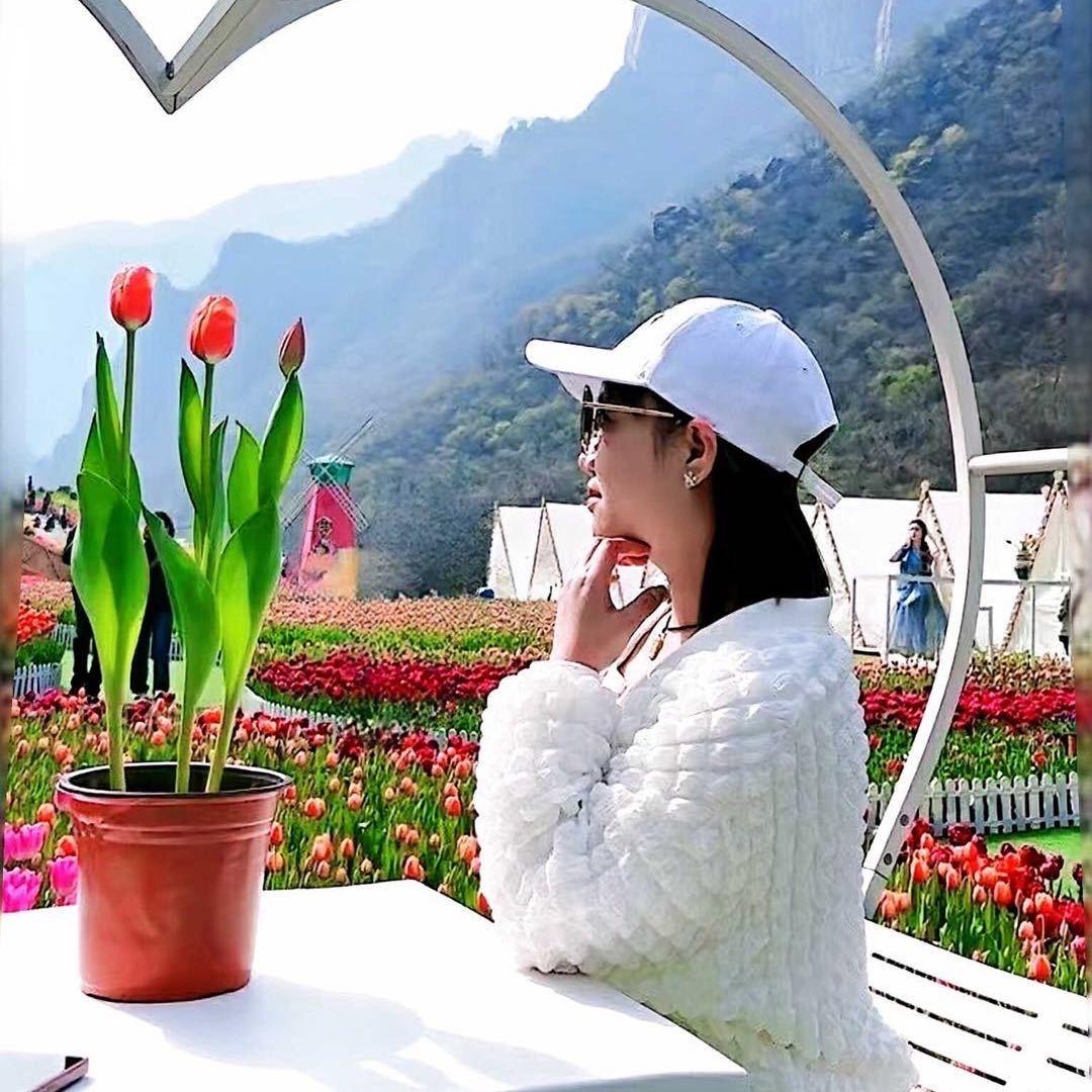 红妮儿
