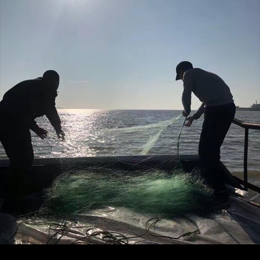 〈老林赶海〉