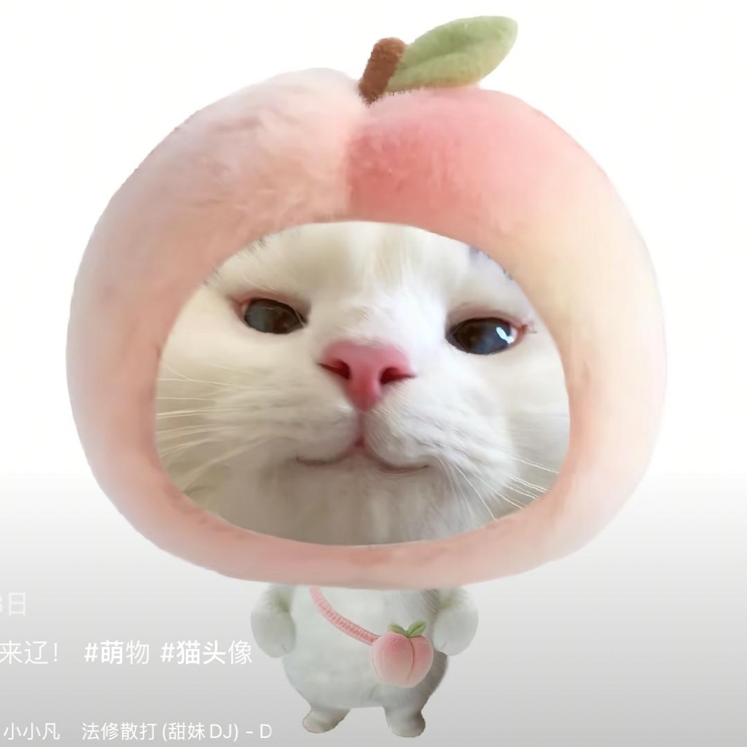 ai.&.叶
