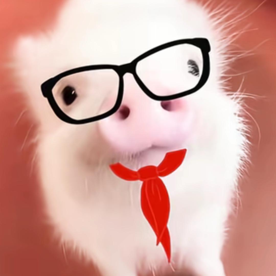 卢噜噜🥳^_^