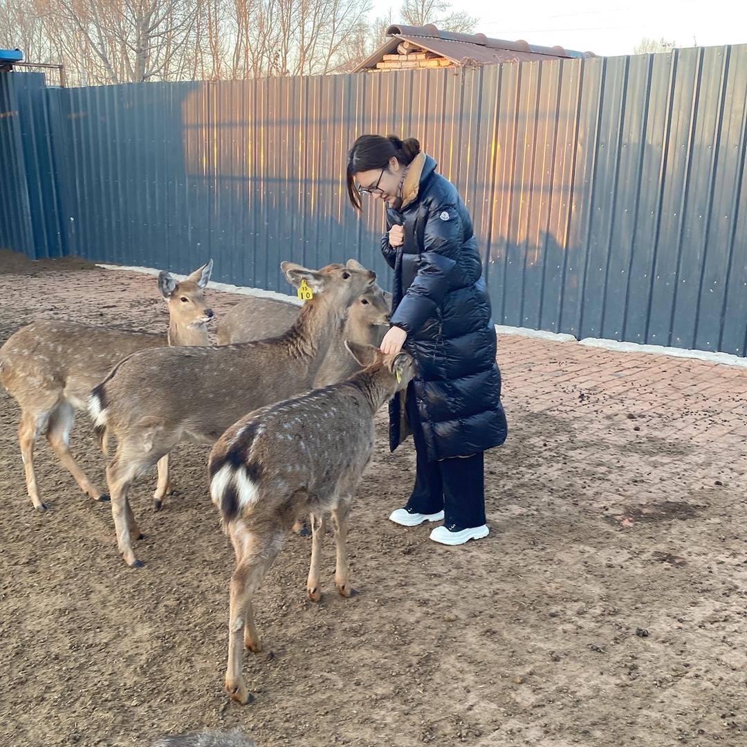 鹿鸣呦呦🦌