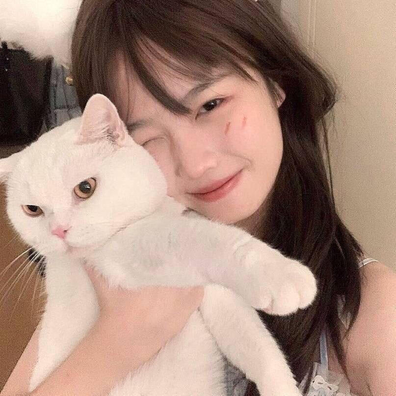 甜歆的杂货铺