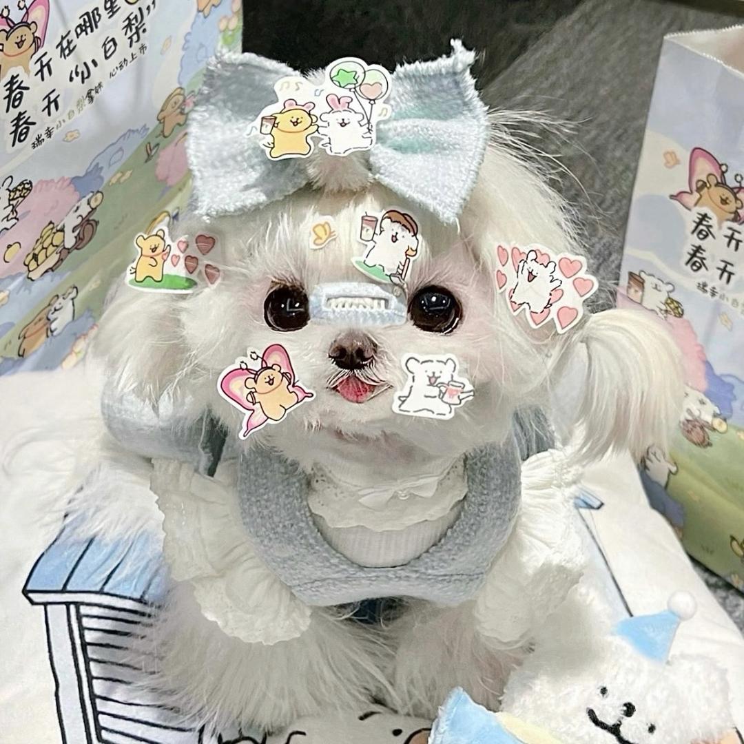 你不要这样的看着我