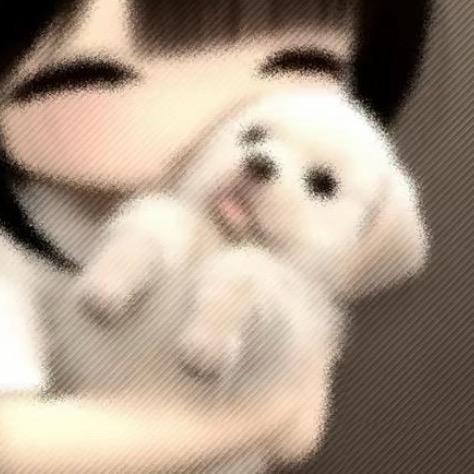 爱喝绿茶