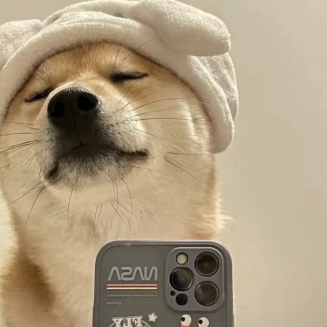 曙光短剧
