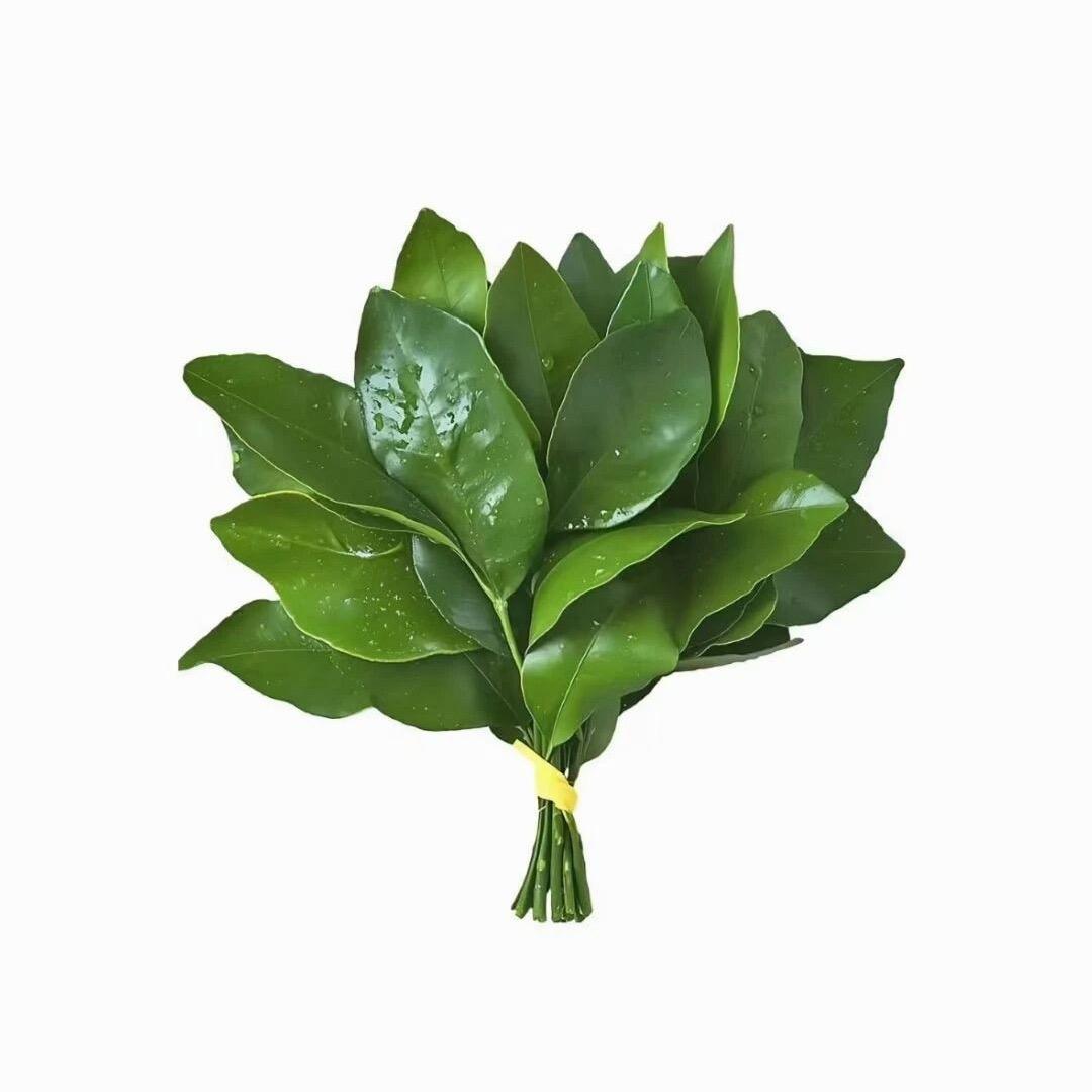 戚蓝伊