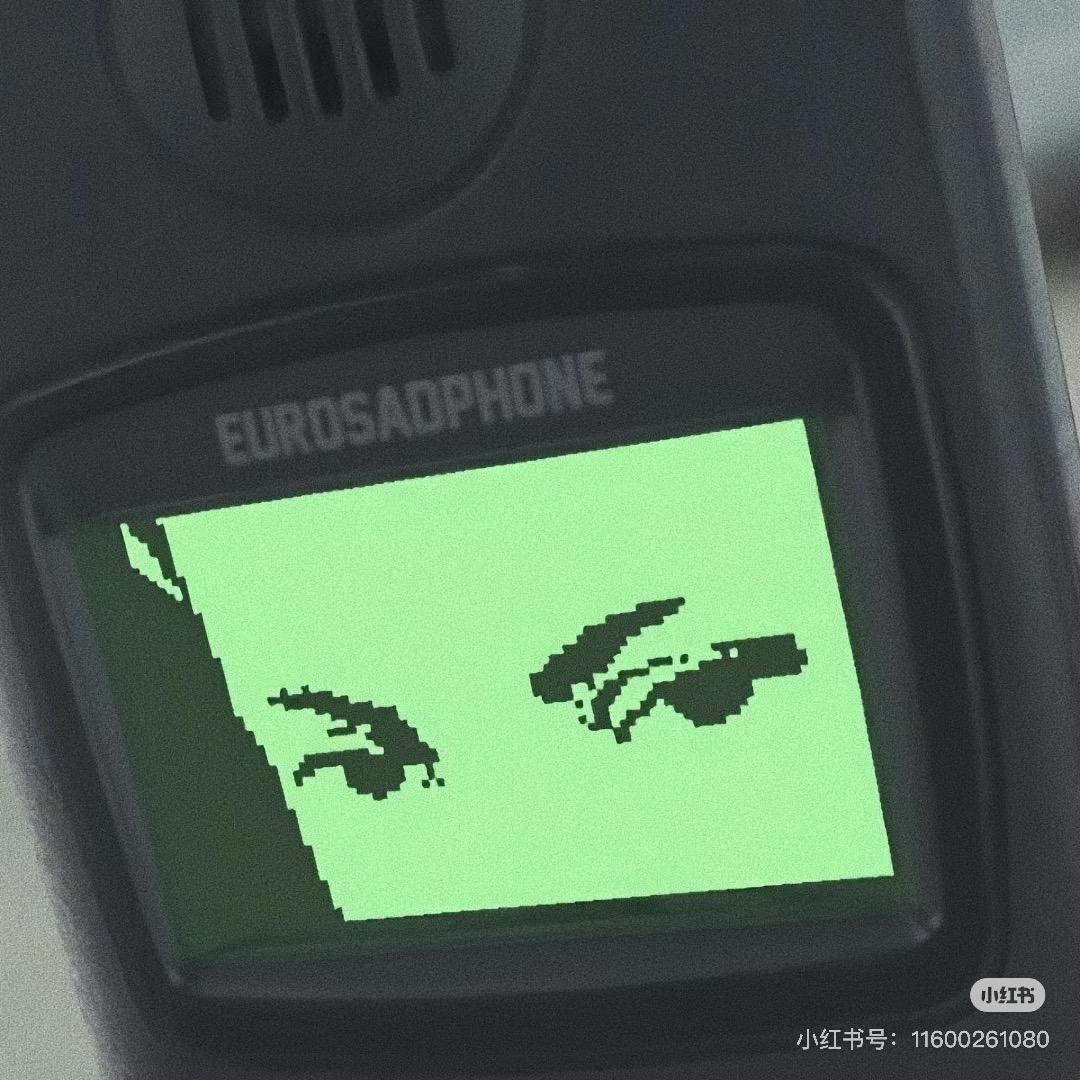小智