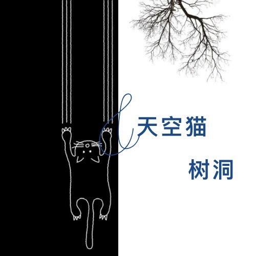 反重力的猫