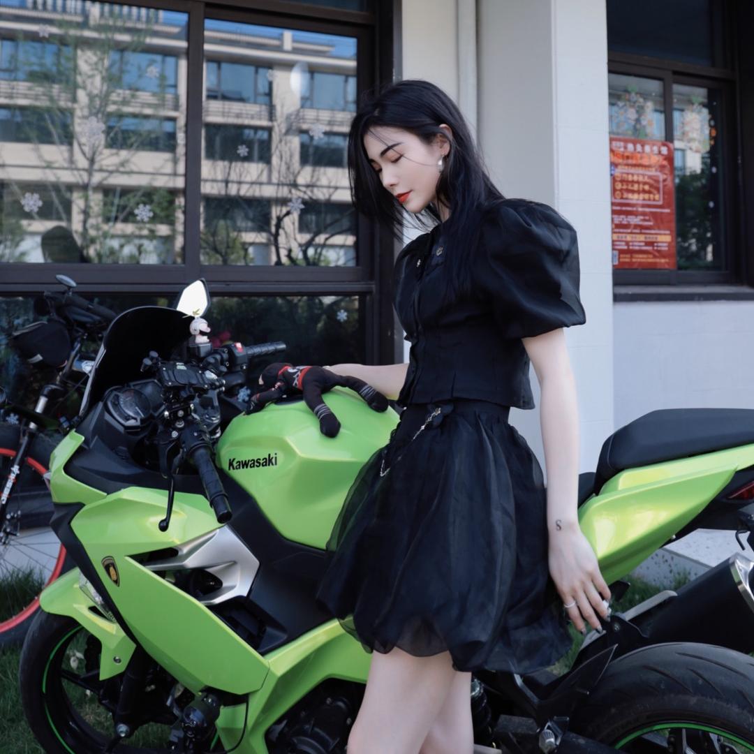 又双木桑