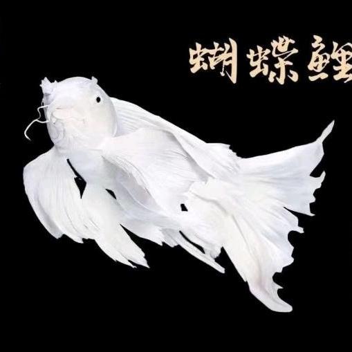 顺意蝴蝶鲤