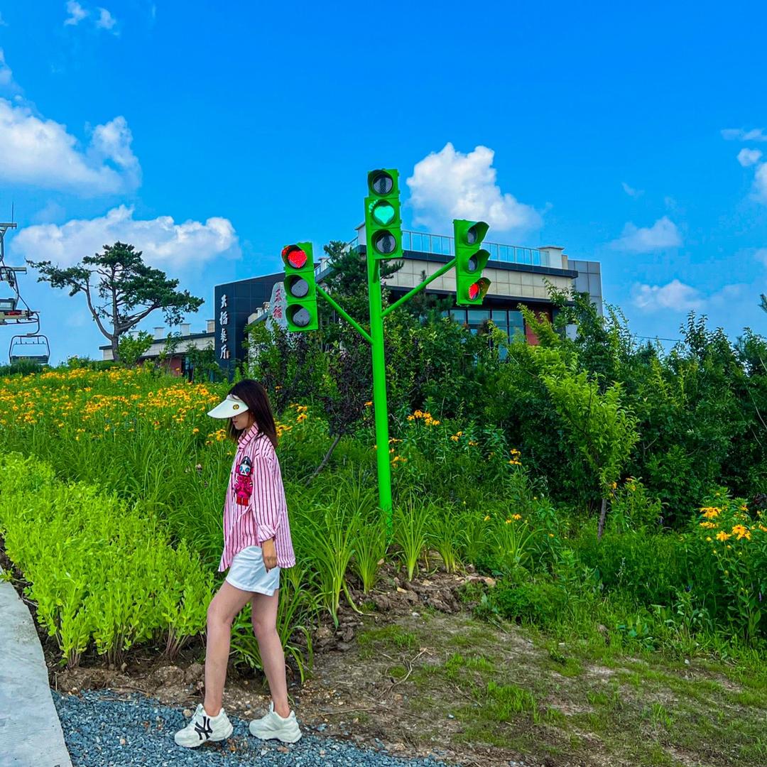 一只小蜜蜂