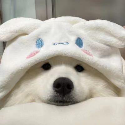 墨非