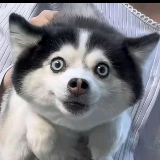 华建的百货铺