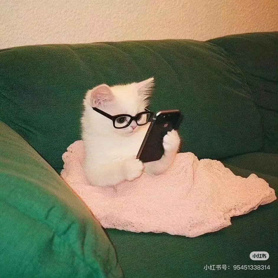 焦糖旺仔