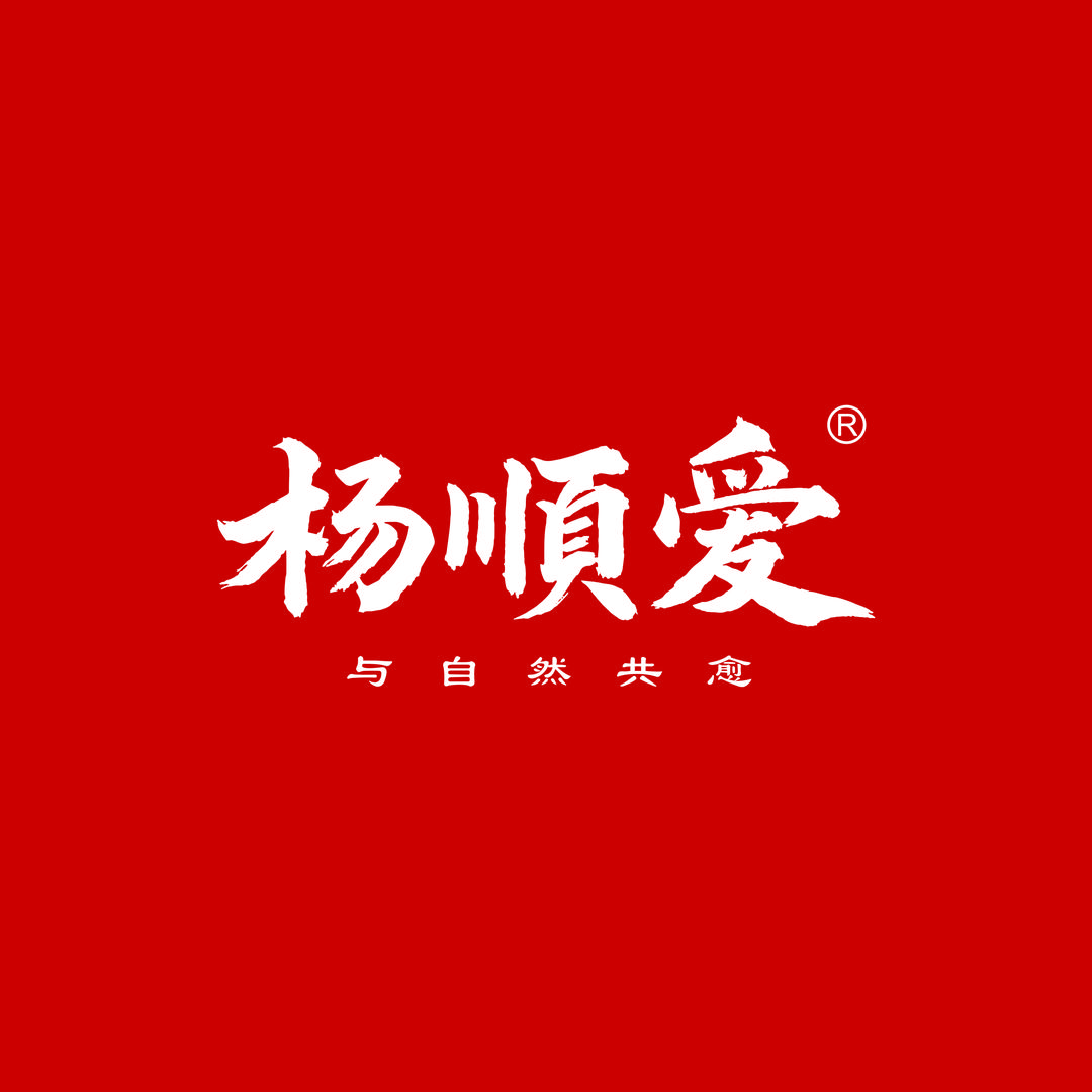 杨顺爱