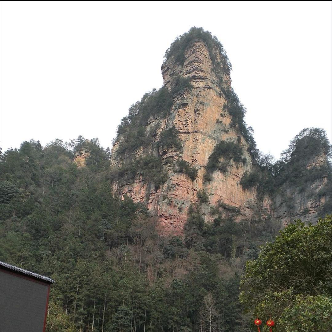 足坛常青树
