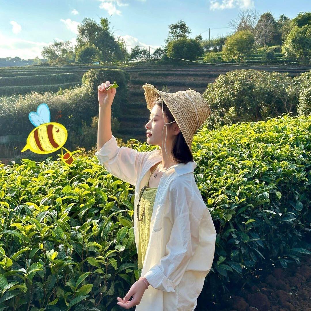 岚岚头不圆