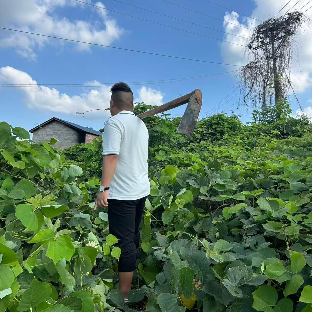 山间好物