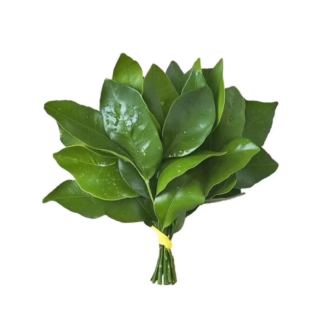 国风清绾