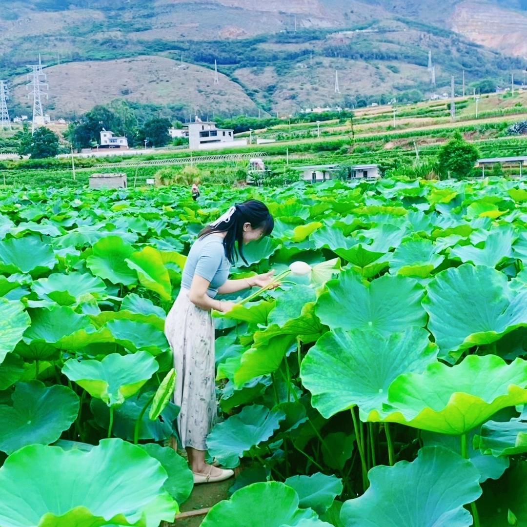 🌼～陈妹妹