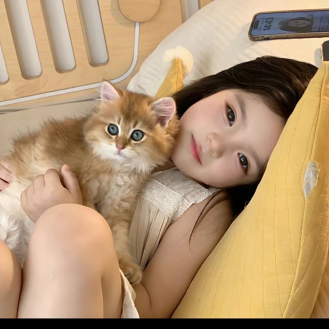 小聂Baby🐰
