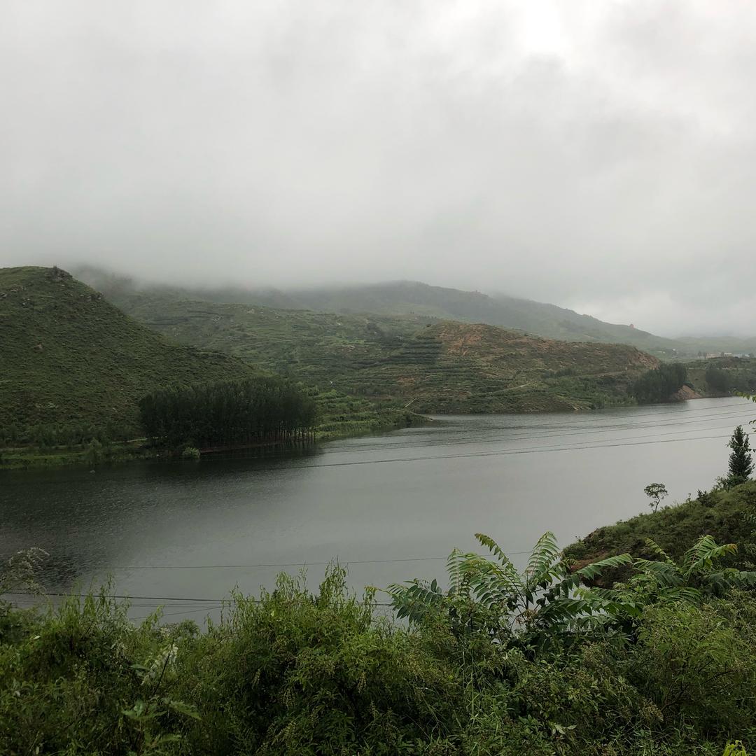 鲁