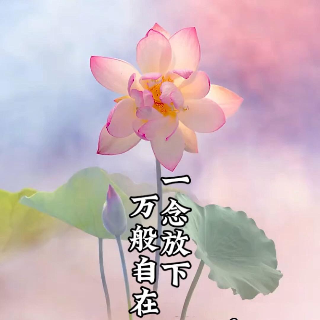 禅悟