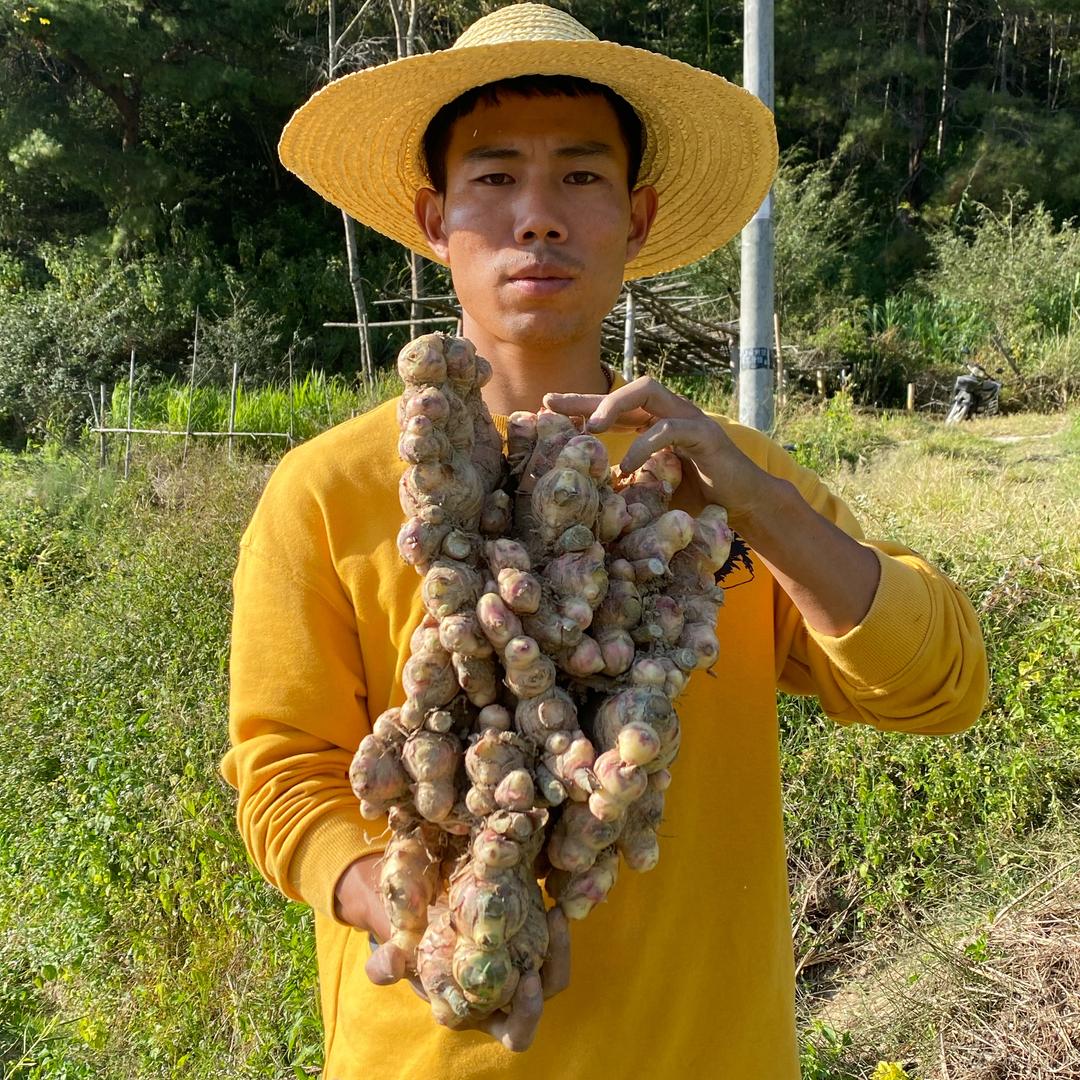 农业小周严选