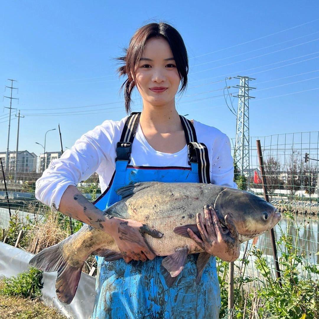 家鱼专家