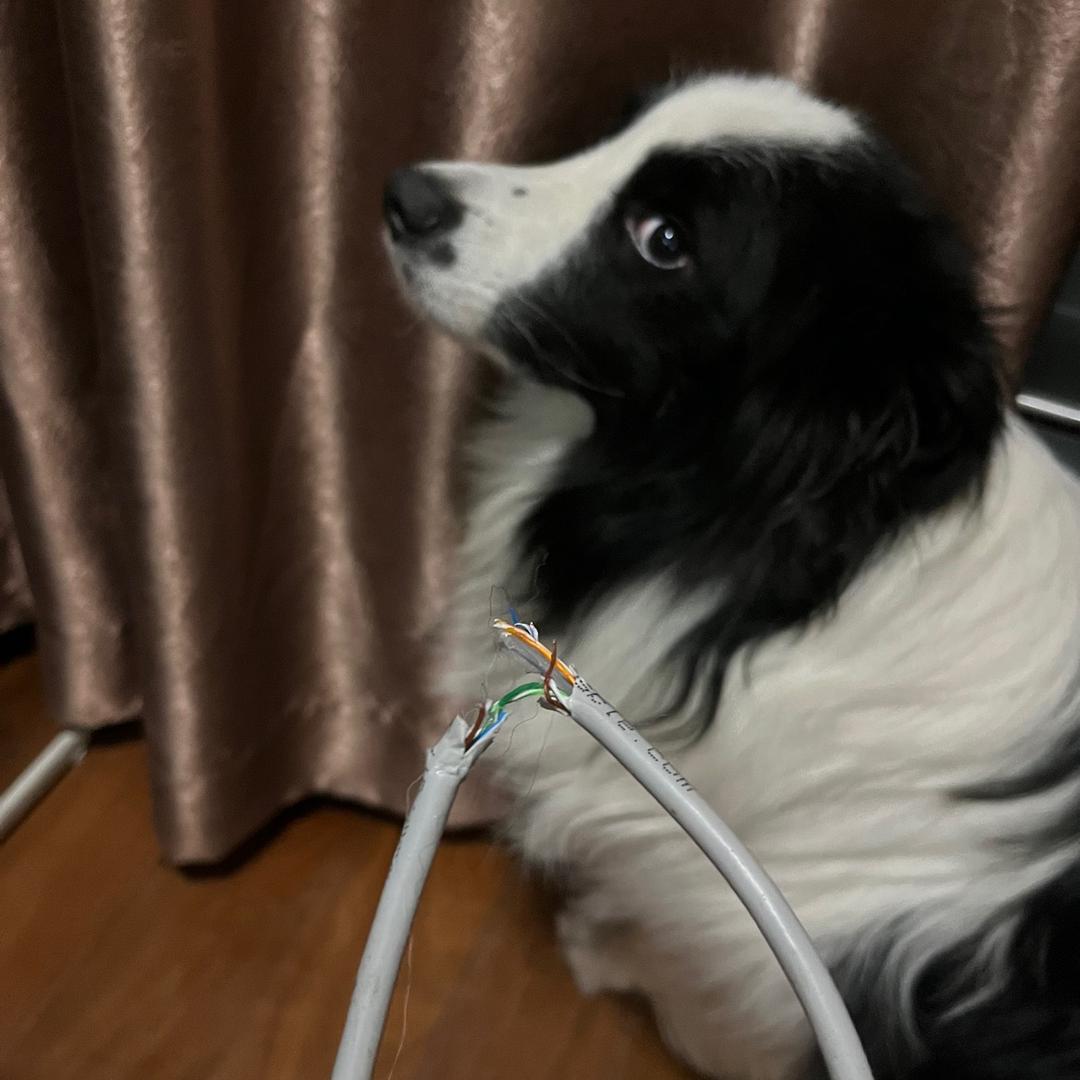 锅盖