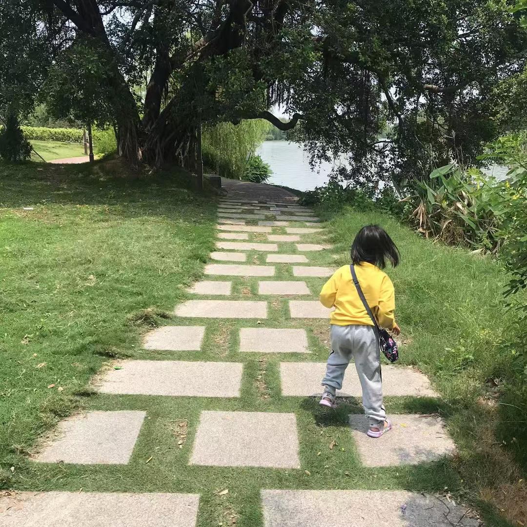 小绵羊团购