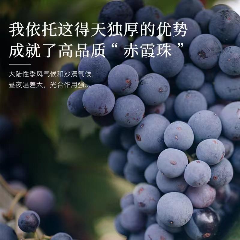 一晨