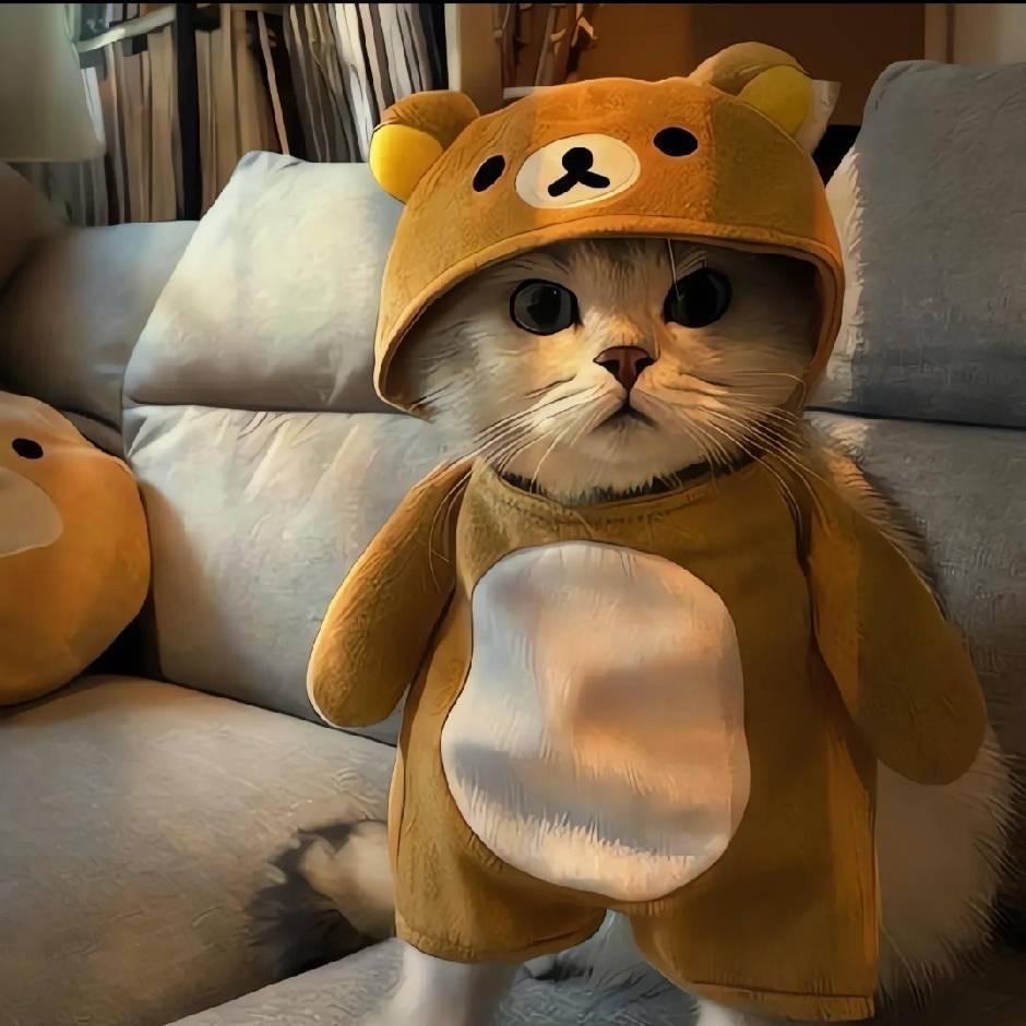 小南.