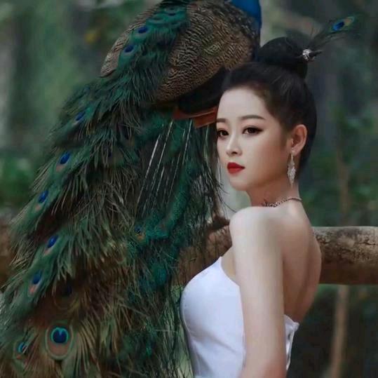 业余歌手🌸婷婷