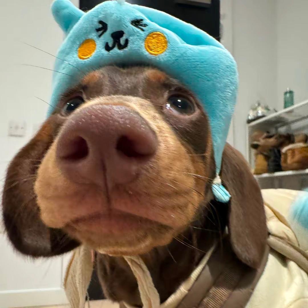 Cheuklun
