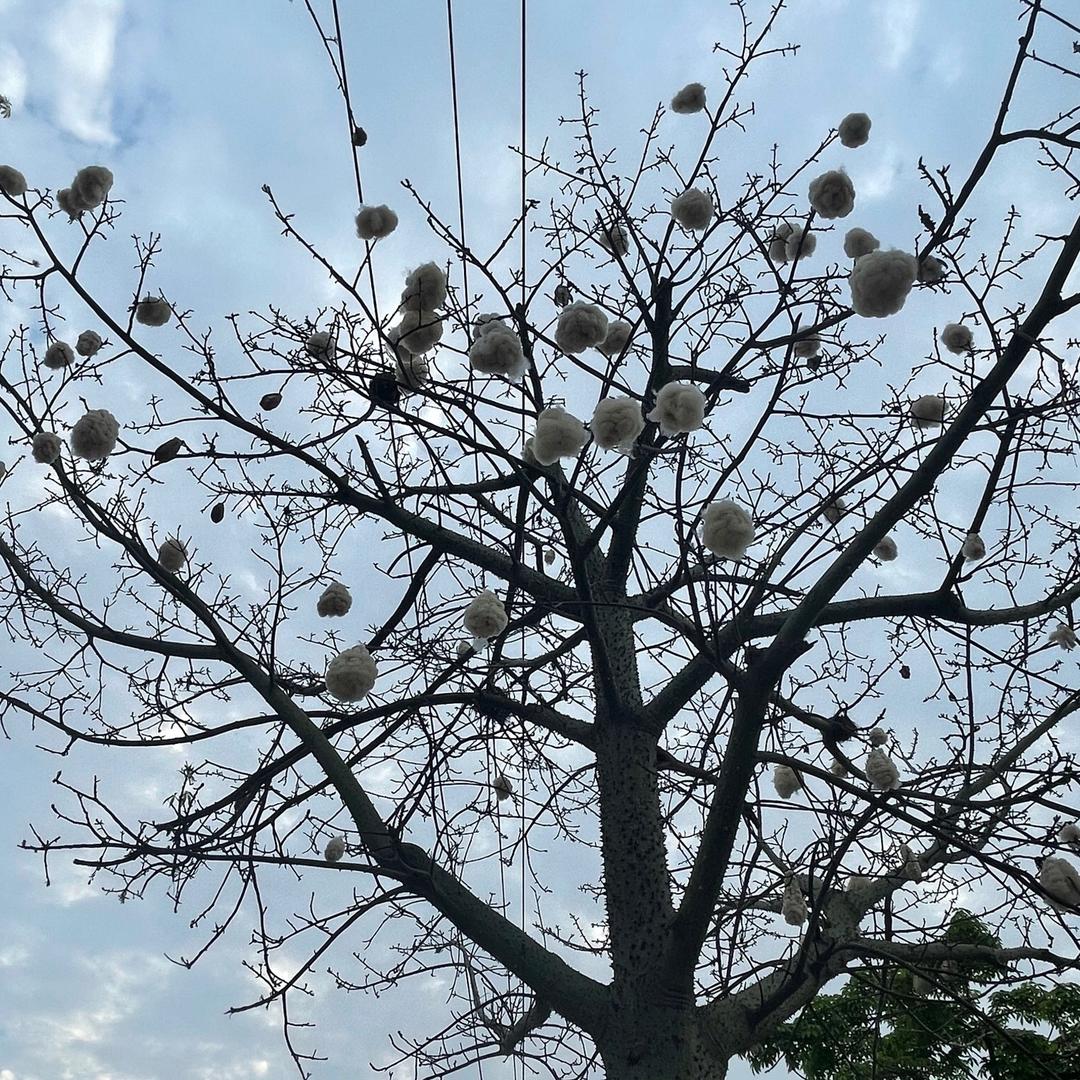 黄立剑