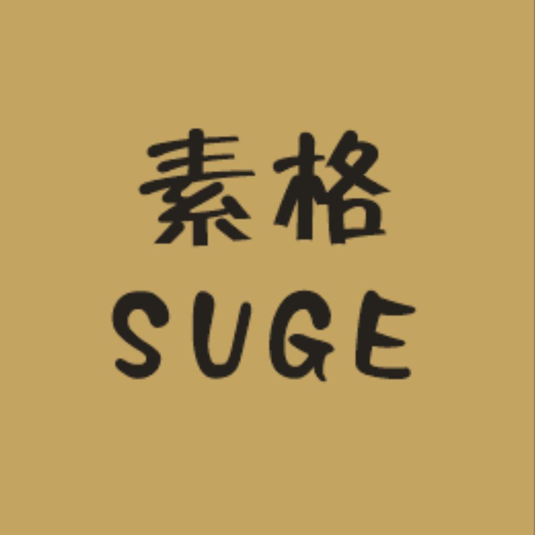素格工厂女装店