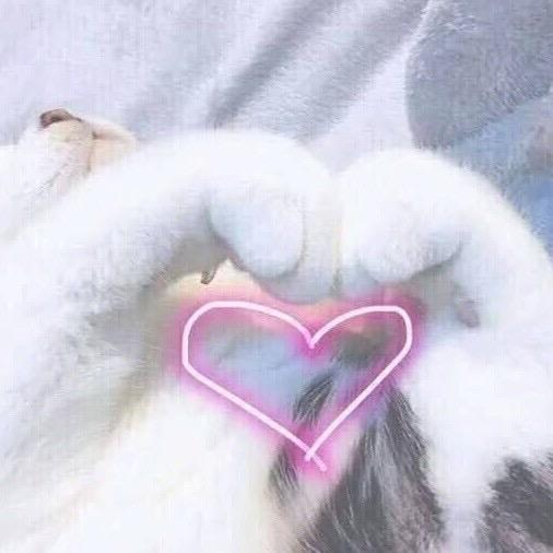 熬夜看小说