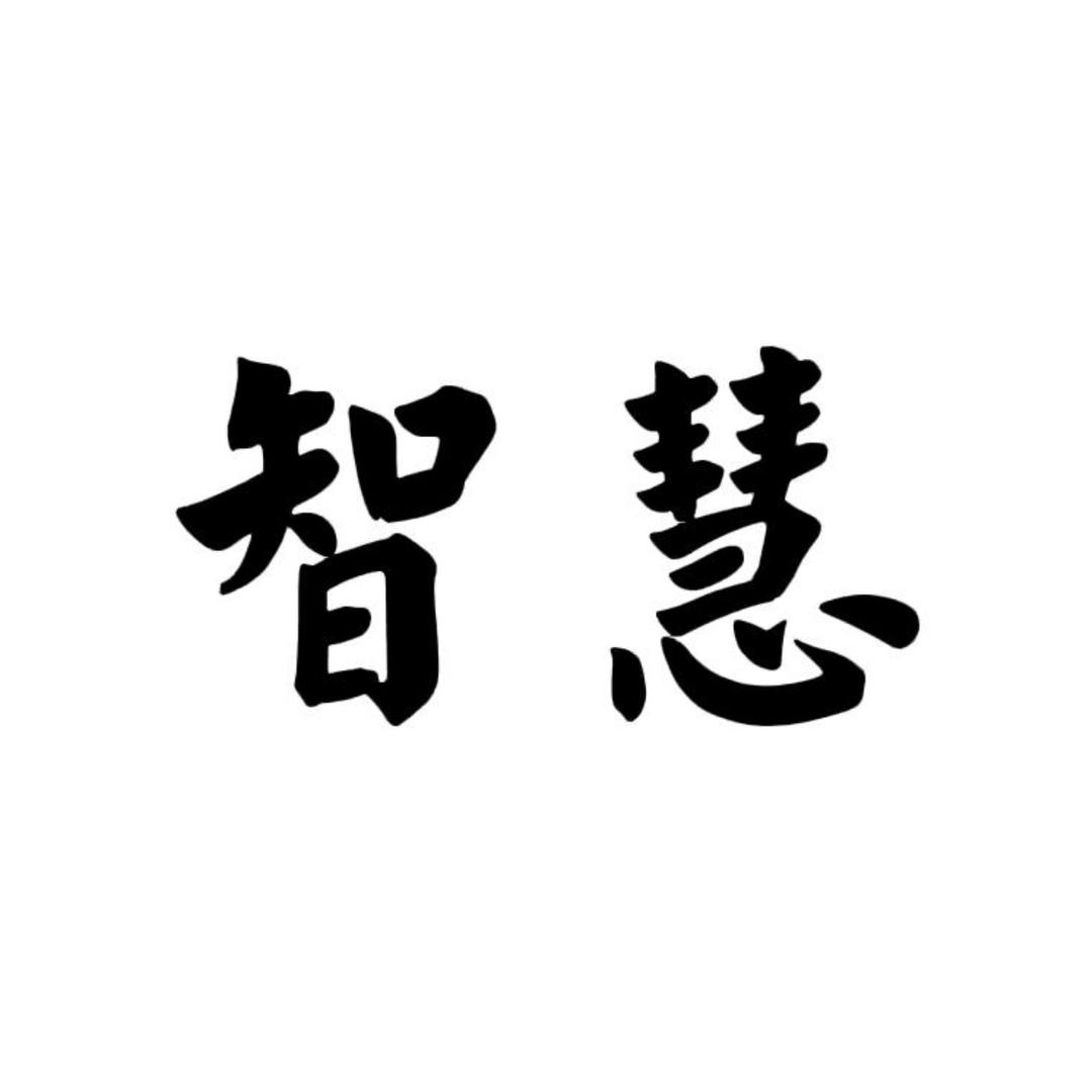 智慧人生✨