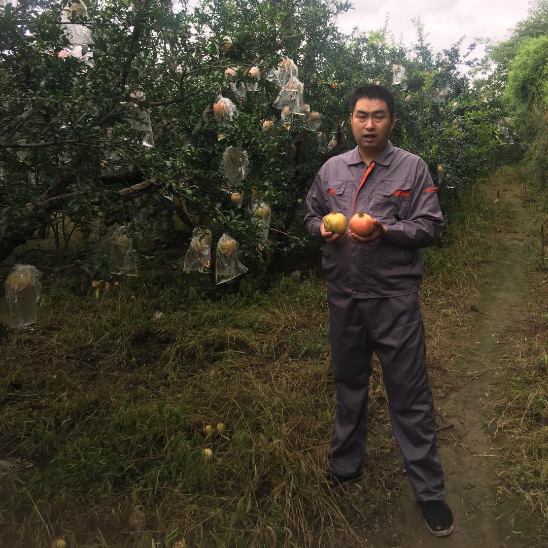 刘大果
