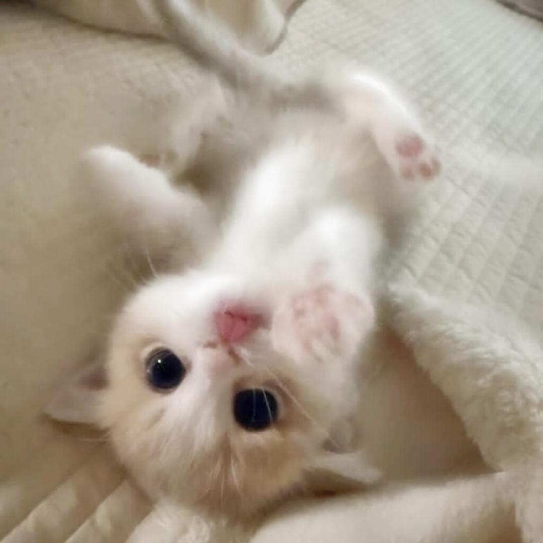 郑幼恩