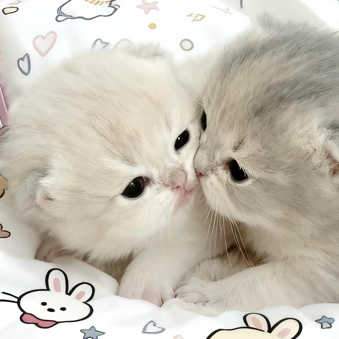小桃
