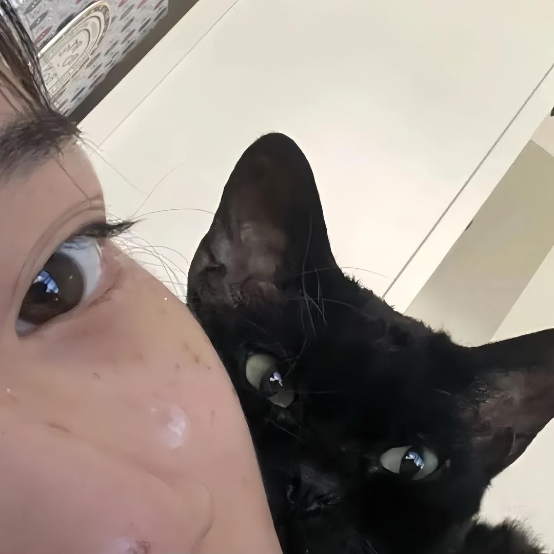 摸鱼的角🐟