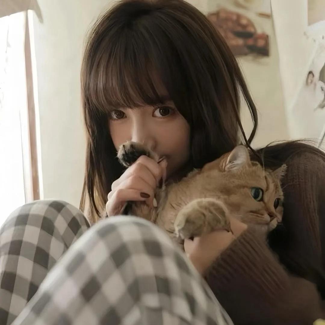 -yh17-