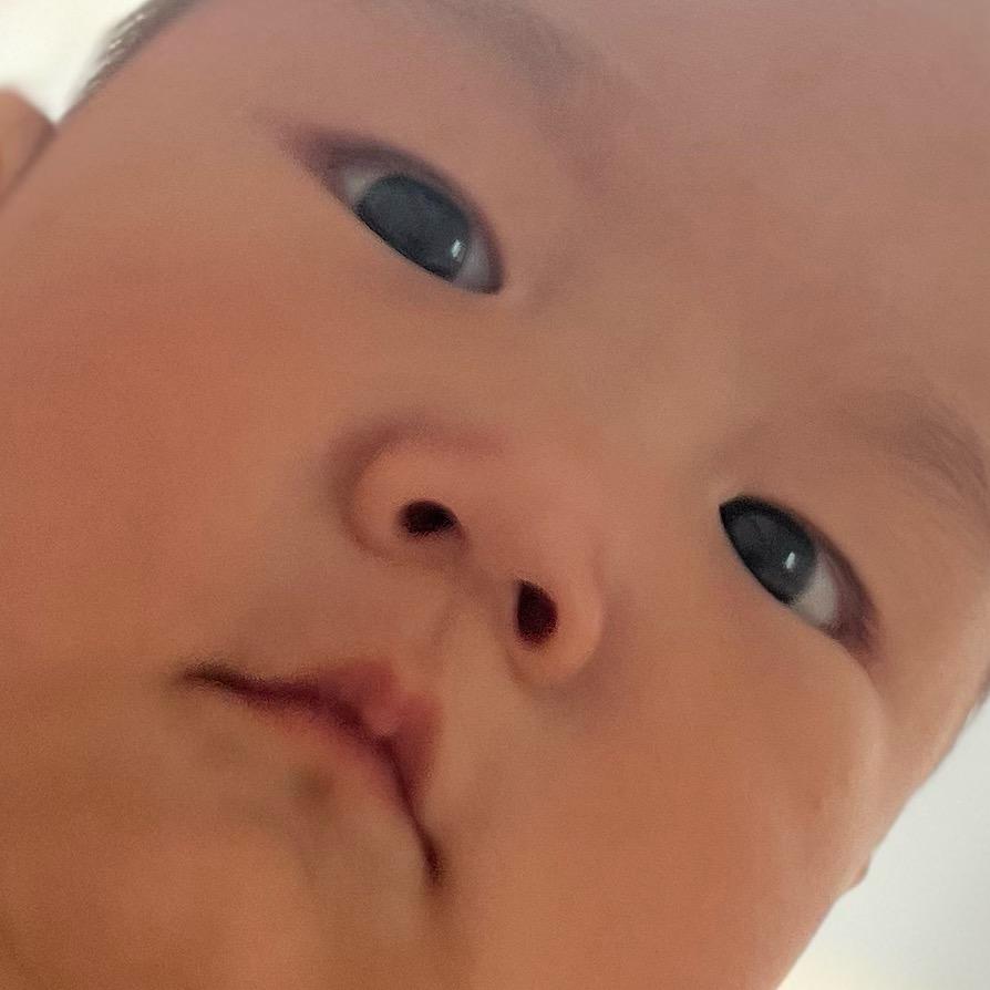 酷酷的豆