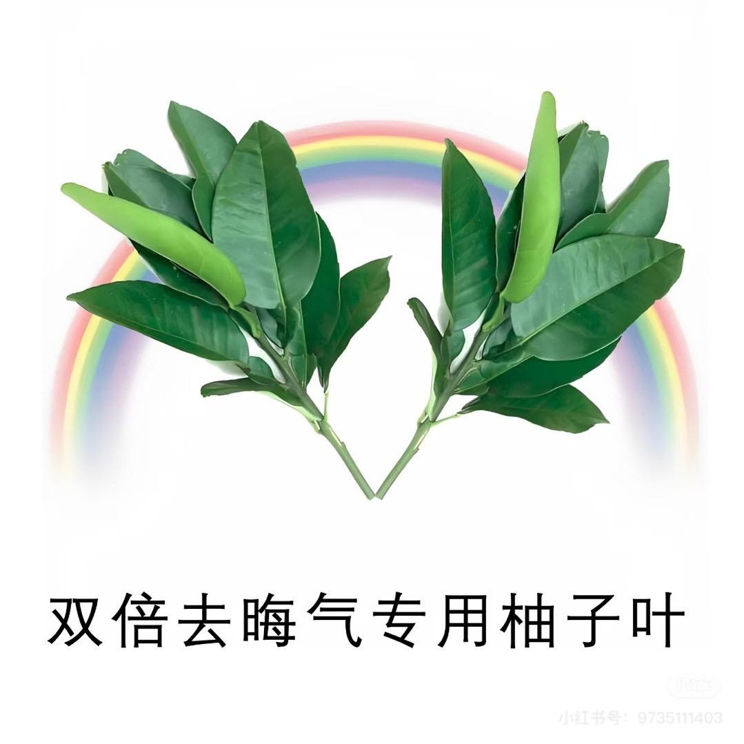 Duang