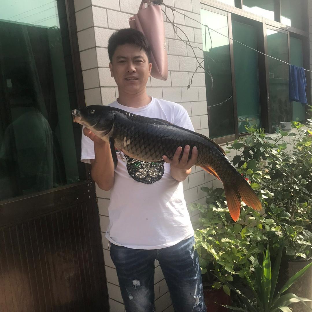 白洋淀狗哥农家乐