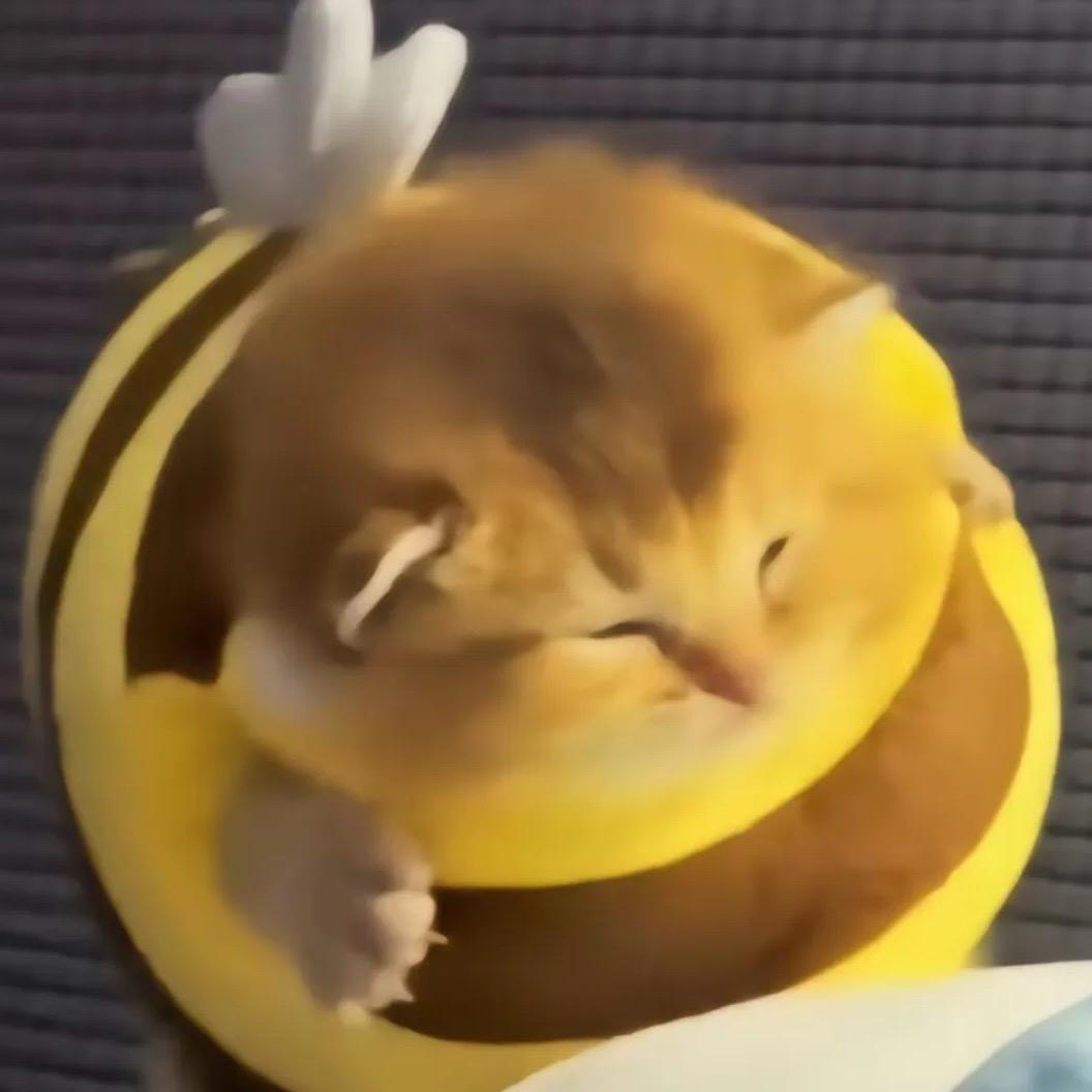 阿染大帝☾⋆